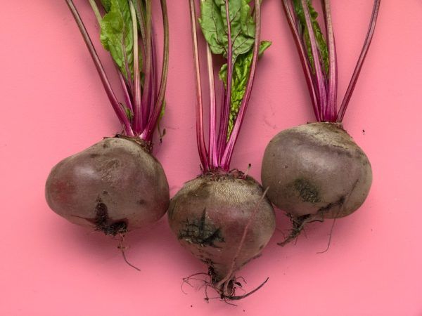 Rote Bete einkochen - Rezept und Anleitung